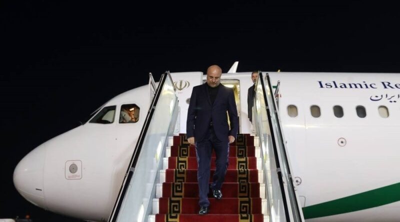 رئیس مجلس با هیأت پارلمانی به تهران بازگشت