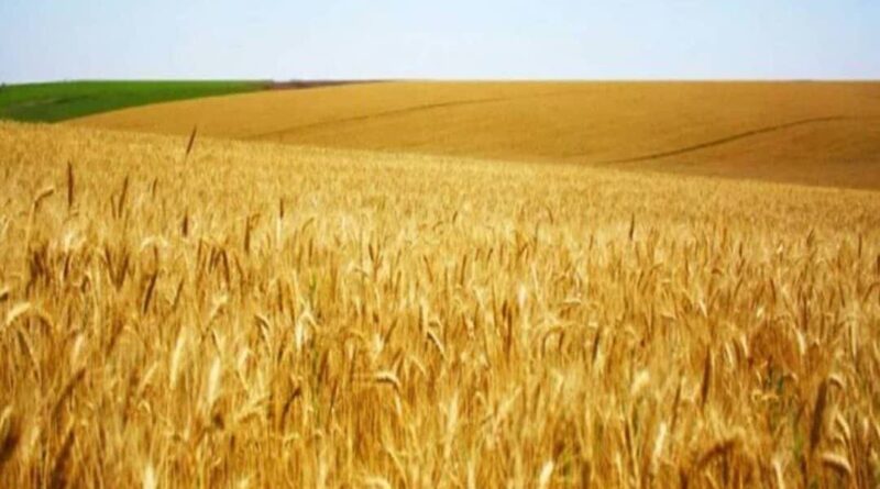 قطعات یدکی خودرو
